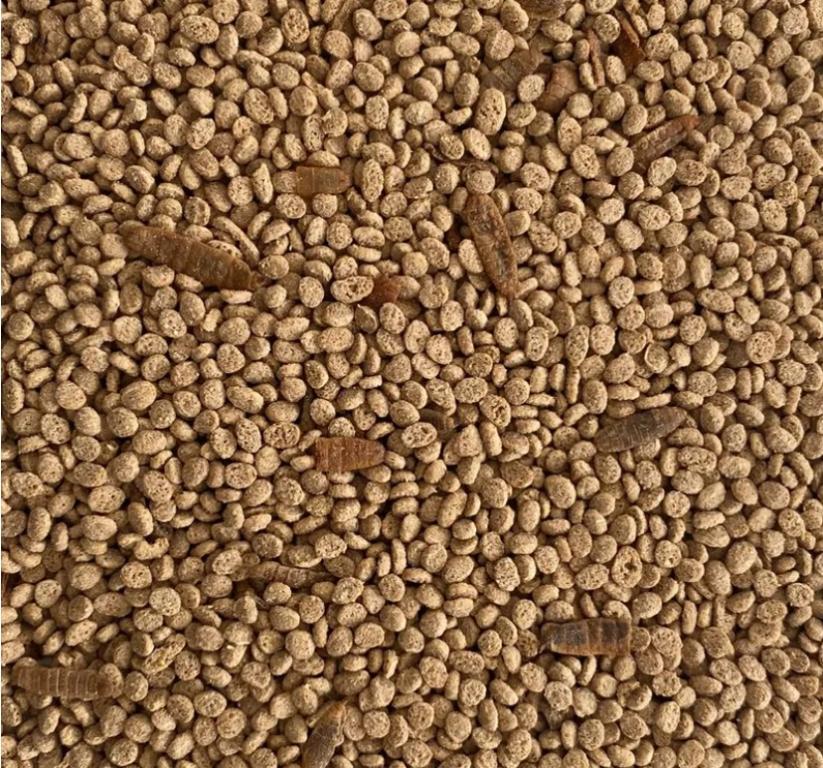 Alcon Club Galinha Pet 1,5 Kg