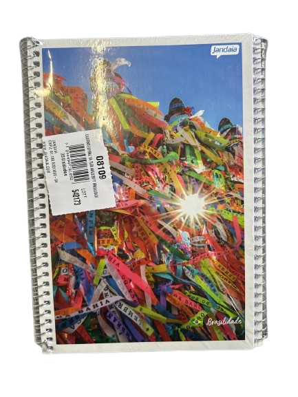 CADERNO ESPIRAL 1/4 FLEX 48 FLS BRASILIDADES