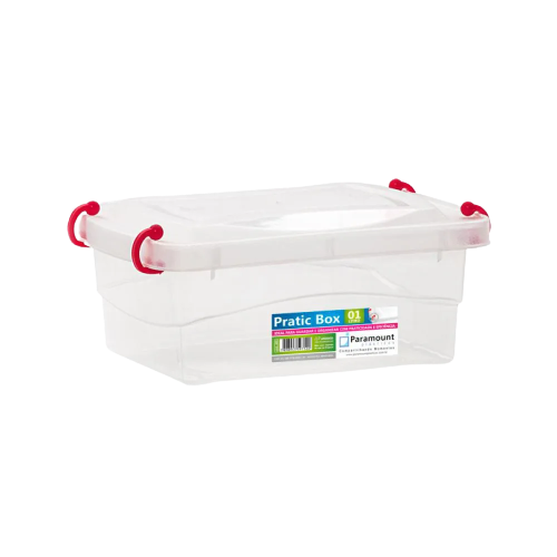 PRATIC BOX 1L 18X13X7CM