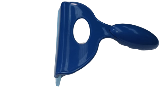 RODO DE PIA MASTER CANAA