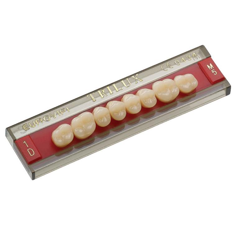 DENTE TRILUX M5 SUP 1A VIPI