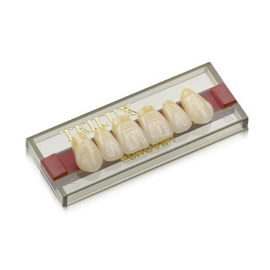 DENTE TRILUX 1C SUP R66