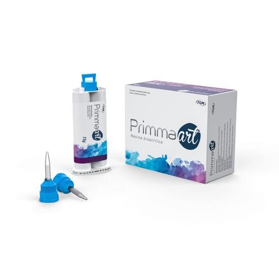 RESINA BISACRILICA PRIMMA ART B1 75G+PONTAS FGM