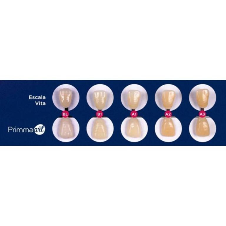 RESINA BISACRILICA PRIMMA ART B1 75G+PONTAS FGM