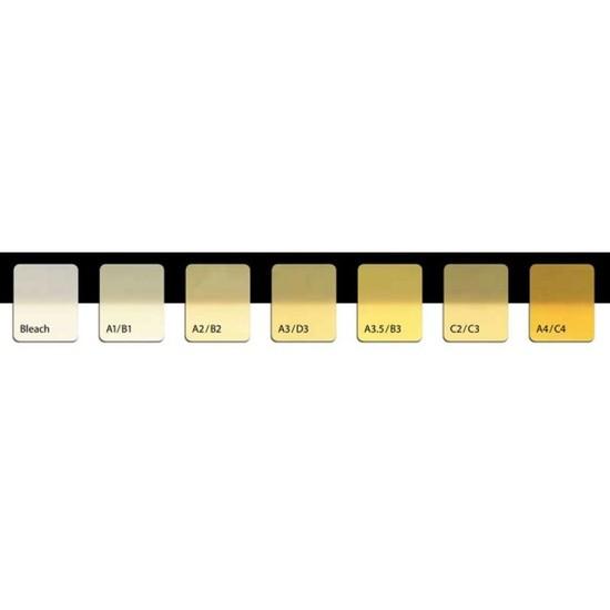 RESINA BRILLIANT EVERGLOW A2 COLTENE