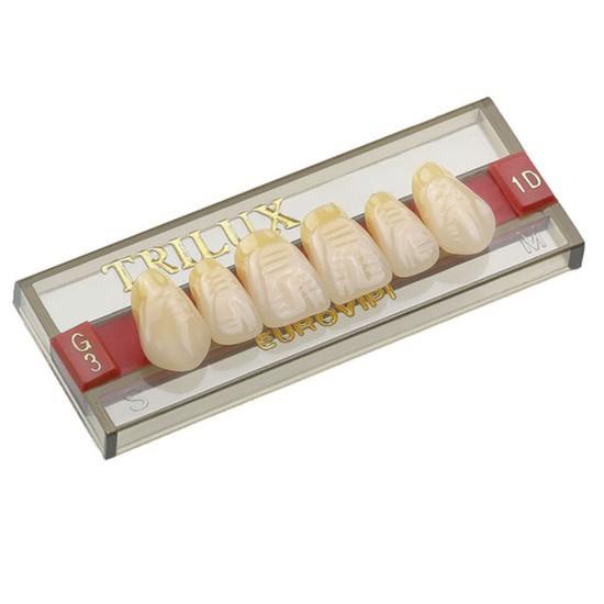 DENTE TRILUX L4 1D SUP ANT - 6UN VIPI