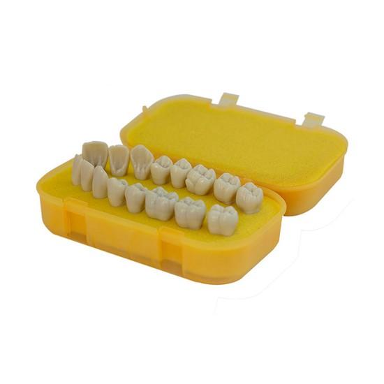 DENTE DM26.6 - CARIE OCULTA