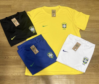 CAMISA DO BRASIL CORES SORTIDAS DRY FIT M/GG/G