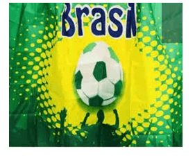 Bandeira Torcedor Brasil 87X145cm
