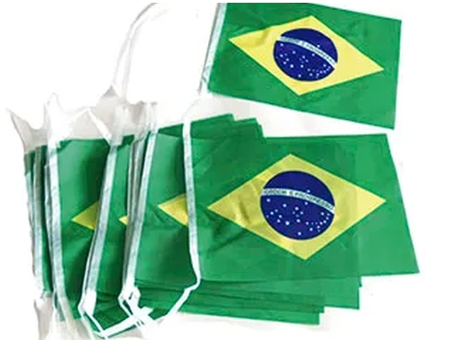 Cordão De Bandeirinhas Do Brasil Com 10M