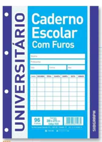 FOLHAS DE FICHARIO ESCOLAR C/ FUROS-96FLS 200X275