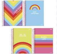 CADERNO CD 1M ESP. 80F COLOR