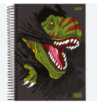 CADERNO JANDAIA UNIV CD 1MT 80FL STONE