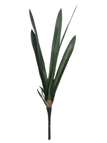 FOLHA DE ORQUIDEA 62CM