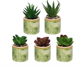 MINI VASO CERAMICO COLOR COM SUCULENTA 8CM