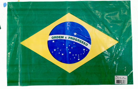 BANDEIRA PLASTICA 30X40 CM