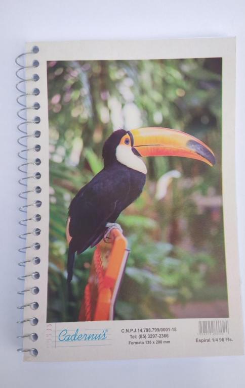 CADERNO 1/4 48 FOLHAS PC20