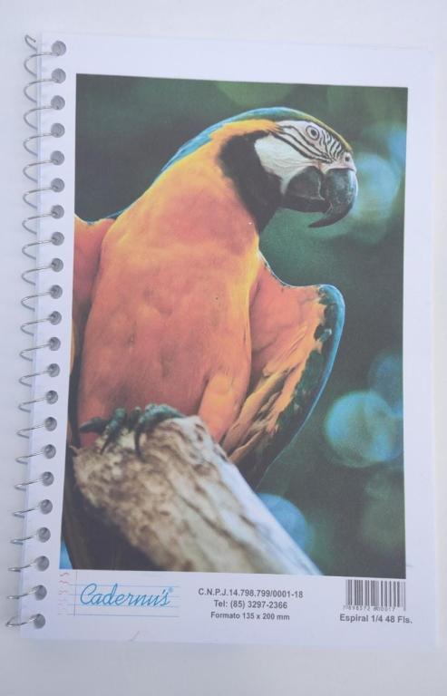 CADERNO 1/4 80 FOLHAS CAPA FLEX PC10