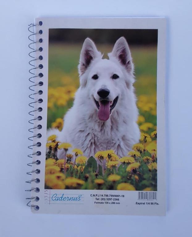 CADERNO 1/4 96 FOLHAS PC10