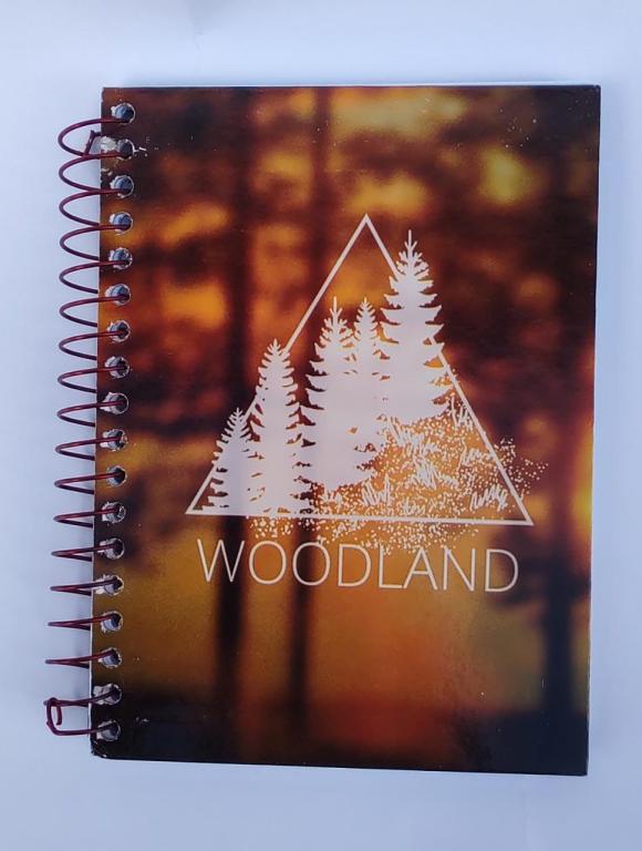 CADERNO FLEX 40FLS 1/4 C10