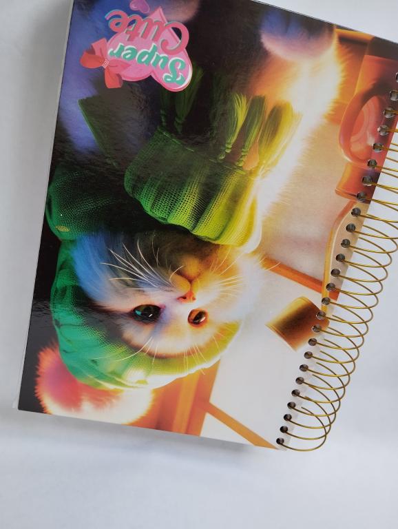 CADERNO 20 MATÉRIAS 400 FOLHAS SUPER CUTE