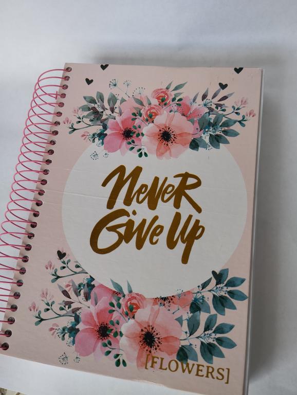 CADERNO 20 MATÉRIAS 400 FOLHAS NEVER GIVE UP