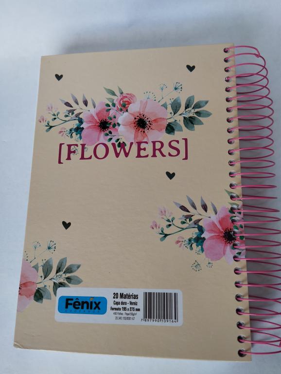 CADERNO 20 MATÉRIAS 400 FOLHAS NEVER GIVE UP