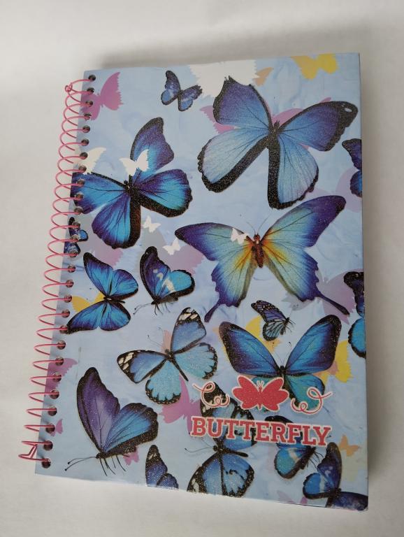 CADERNO 10 MATÉRIAS 200 FOLHAS BUTERFLY