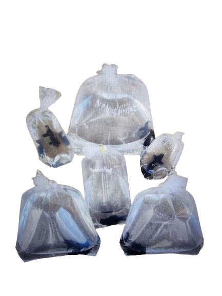 EMBALAGEM 30x45 FUNDO REDONDO