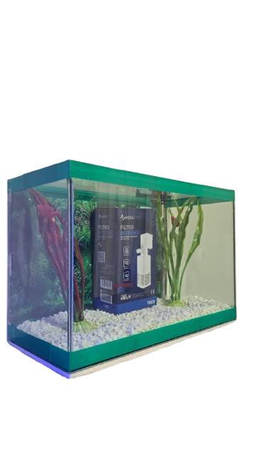 KIT AQUARIO COMPLETO 30CM