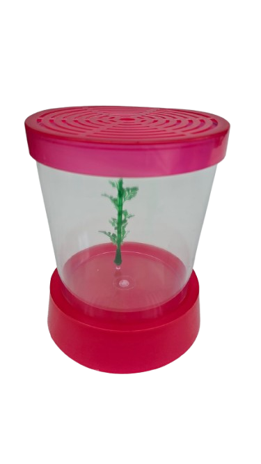 BETEIRA NANO ACRILICO 700ML C/ PLANTA CORES SORTIDAS C/24