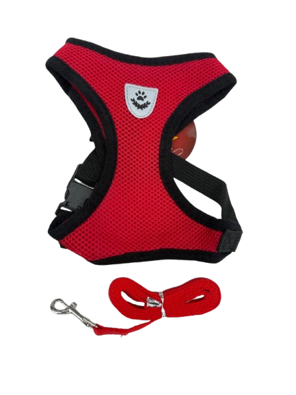 COLETE PEITORAL G (LARGE) CORES SORTIDAS