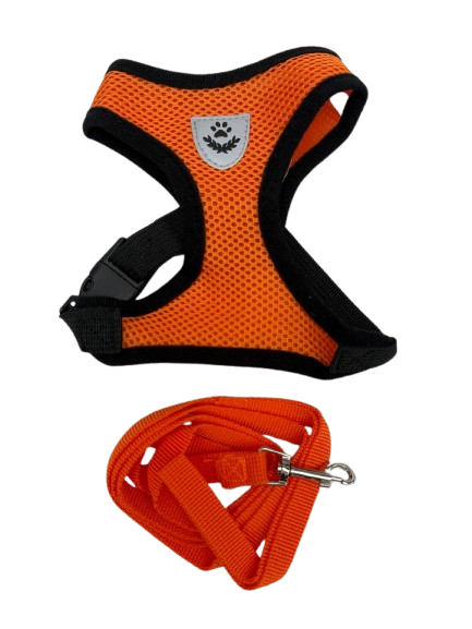 COLETE PEITORAL P (SMAL) CORES SORTIDAS