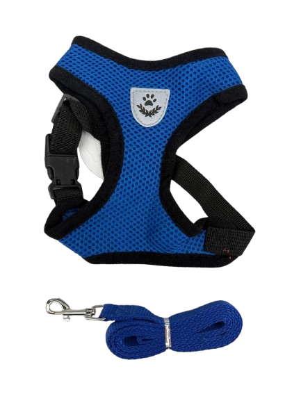 COLETE PEITORAL P (SMAL) CORES SORTIDAS