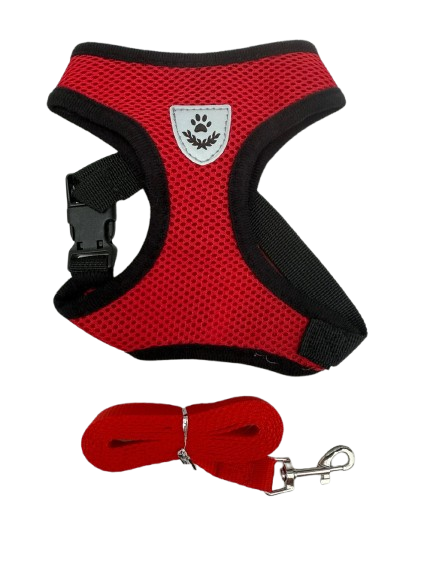 COLETE PEITORAL P (SMAL) CORES SORTIDAS