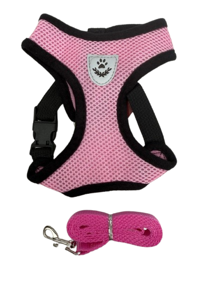 COLETE PEITORAL P (SMAL) CORES SORTIDAS