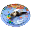 TAPETE PISCINA SENSORIAL INFLAVEL PET EL-P675 DESENHOS SORTIDOS