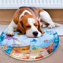 TAPETE PISCINA SENSORIAL INFLAVEL PET EL-P675 DESENHOS SORTIDOS