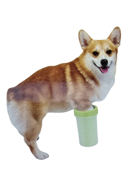 LAVA PATA CAES MEDIO E GRANDE CORES SORTIDAS