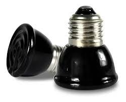 LAMPADA DE AQUECIMENTO MINI CERAMICA INFRAVERMELHA ND-13 PARA RÉPTEIS 100W / 110V PETSAURO