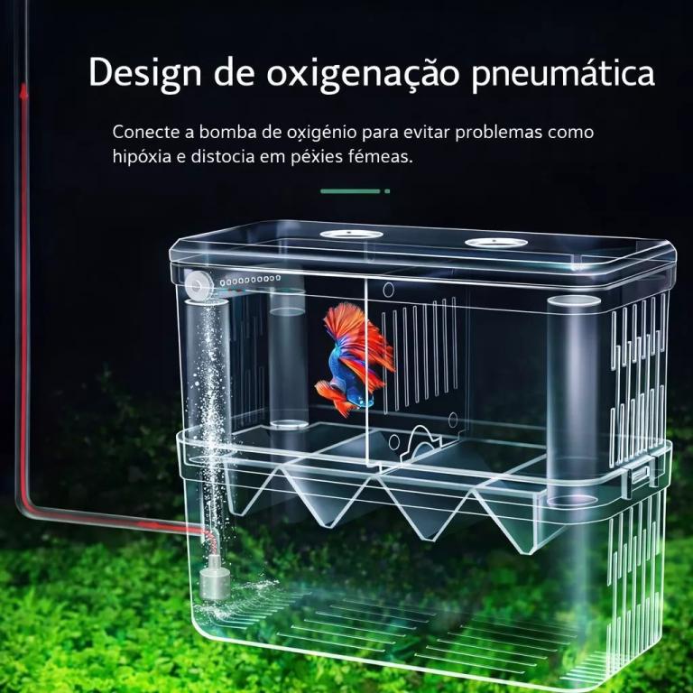 MATERNIDADE ACRILICO AQUATANK