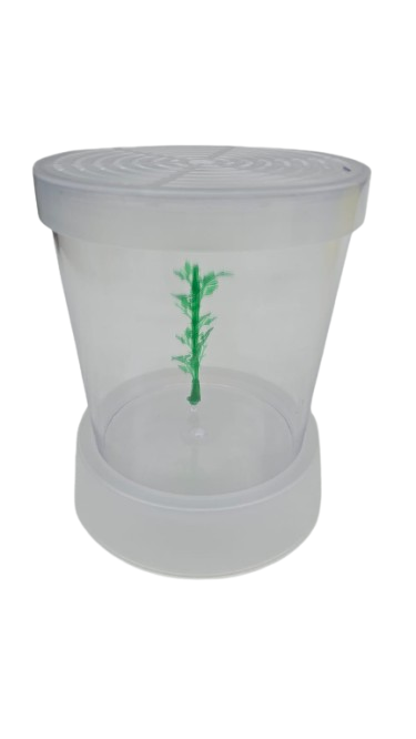 KIT BETEIRA NANO ACRILICO 700ML C/ PLANTA CORES SORTIDAS C/24