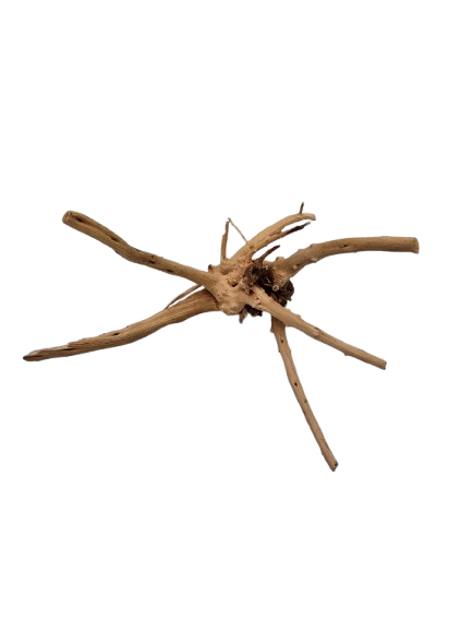 TRONCO NATURAL P 10-15CM