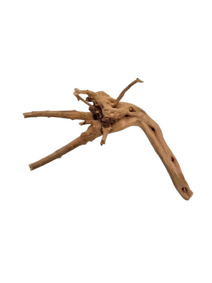 TRONCO NATURAL P 10-15CM