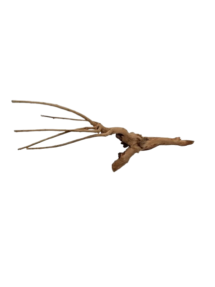 TRONCO NATURAL P 10-15CM