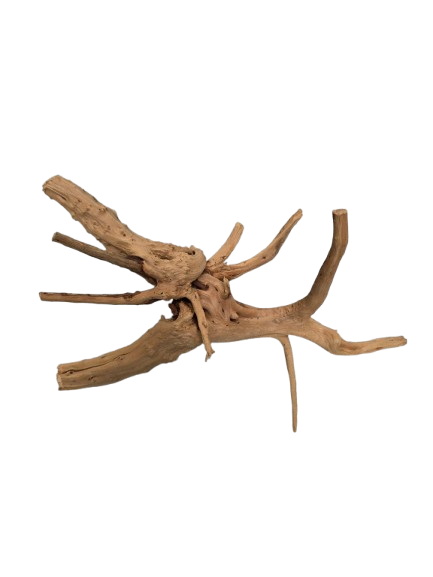 TRONCO NATURAL M 20-25CM