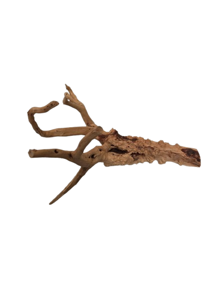 TRONCO NATURAL M 20-25CM