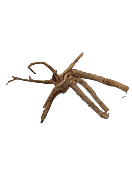 TRONCO NATURAL M 20-25CM