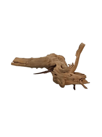 TRONCO NATURAL M 20-25CM