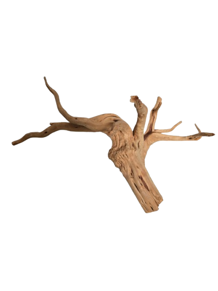 TRONCO NATURAL G 25-30CM